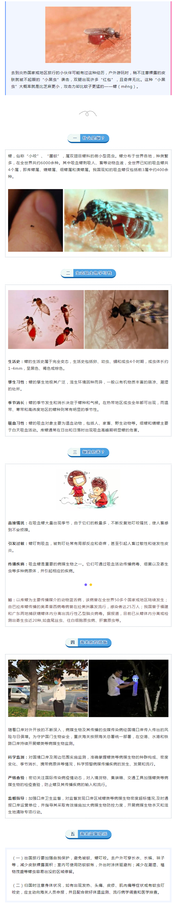 带你了解虫如其名的“蠓”20230918