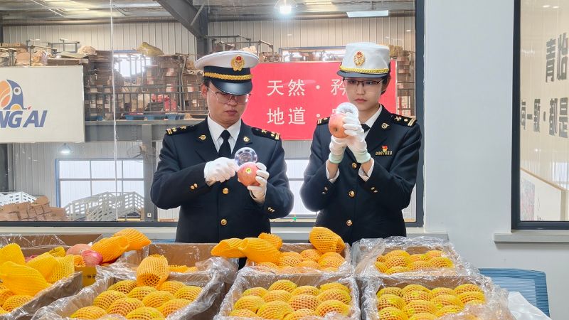 时隔10年,陕西苹果重返澳大利亚市场 时隔10年,陕西苹果重返澳大利亚市场